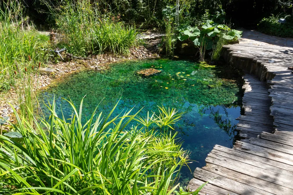 Création de bassin à Neuviller-sur-Moselle