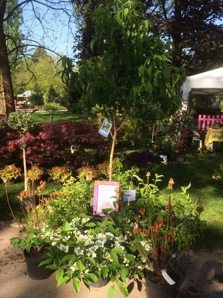 vente-plantes-vertes-3